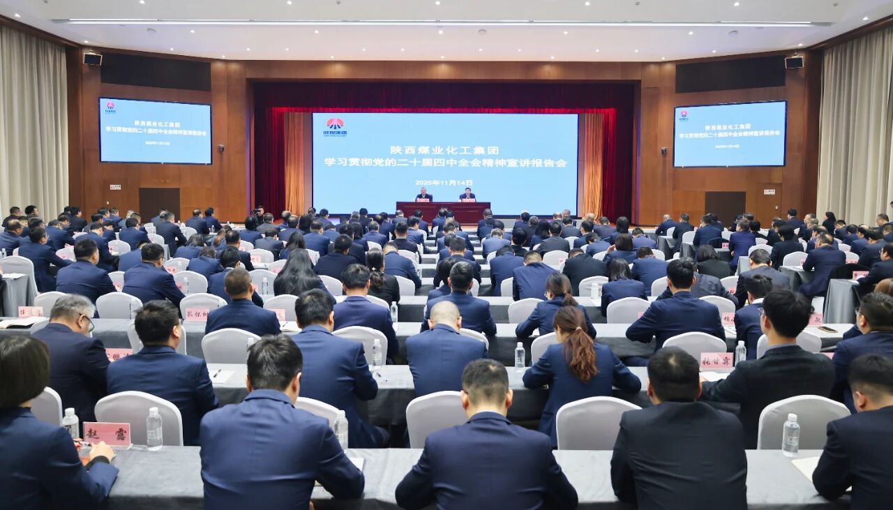 20251117/691a76ace263a.jpg 20251117/691a76ace263a.jpg