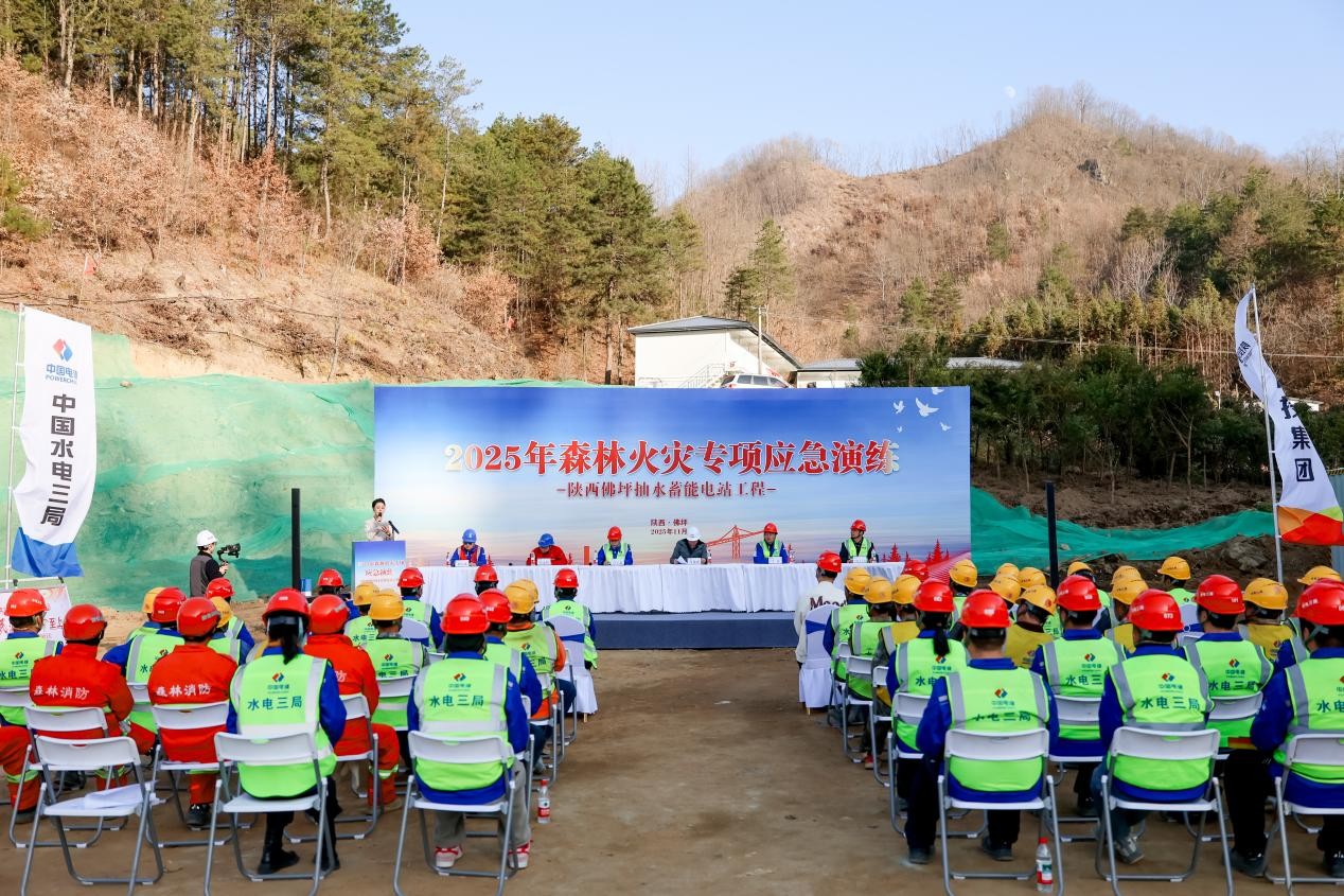 20251201/692d3103379cd.jpg 20251201/692d3103379cd.jpg